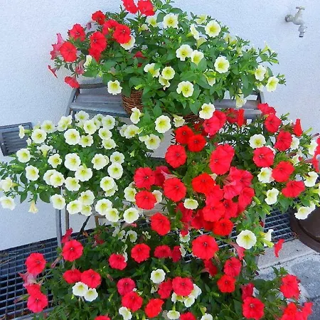 Ξενοδοχείο με διαμερίσματα Hoedner Ebbs