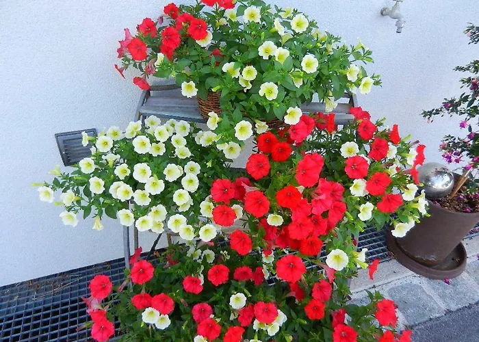 Apart-hotel Hoedner Ebbs